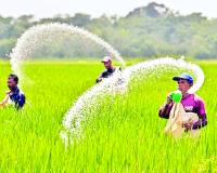 పెద్దకడుబూరులో భారీ వర్షం - ఈ వర్షం మంచికే సంకేతం...!